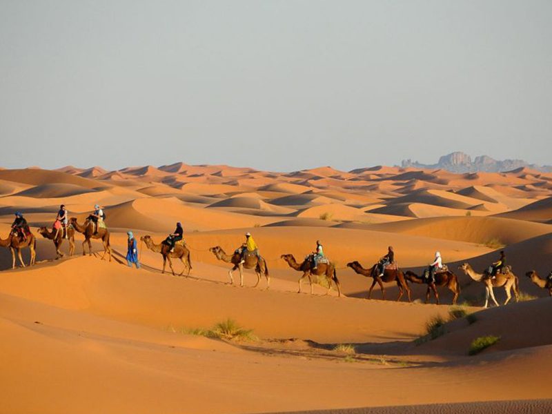 Revelion Maroc